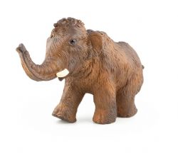 PAPO - JEUNE MAMMOUTH #55025